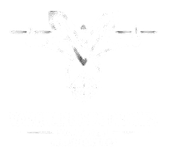 inspecoesdrone.pt
