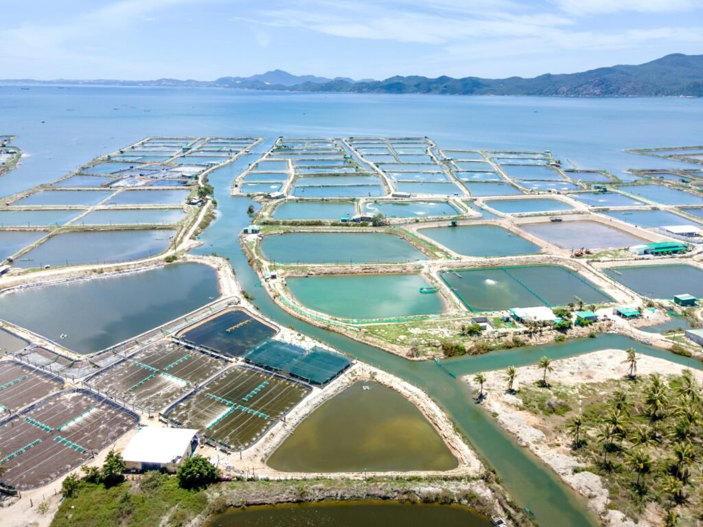 Aquacultura