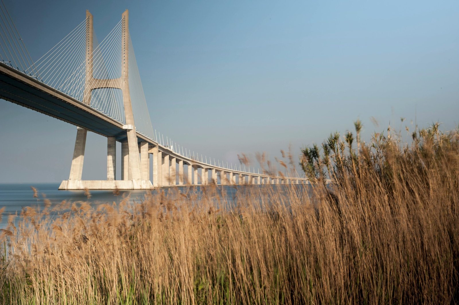 vasco de gama ponte
